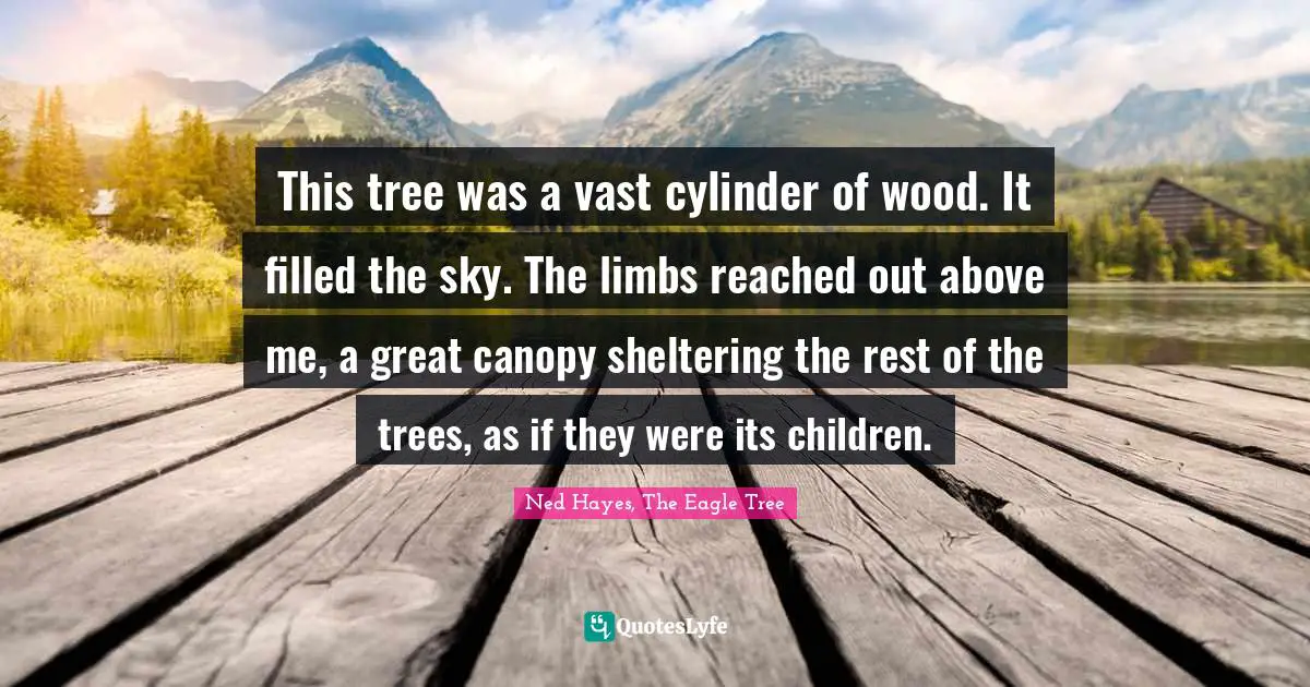 This tree was a vast cylinder of wood. It filled the sky. The limbs reached out above me, a great canopy sheltering the rest of the trees, as if they were its children.
