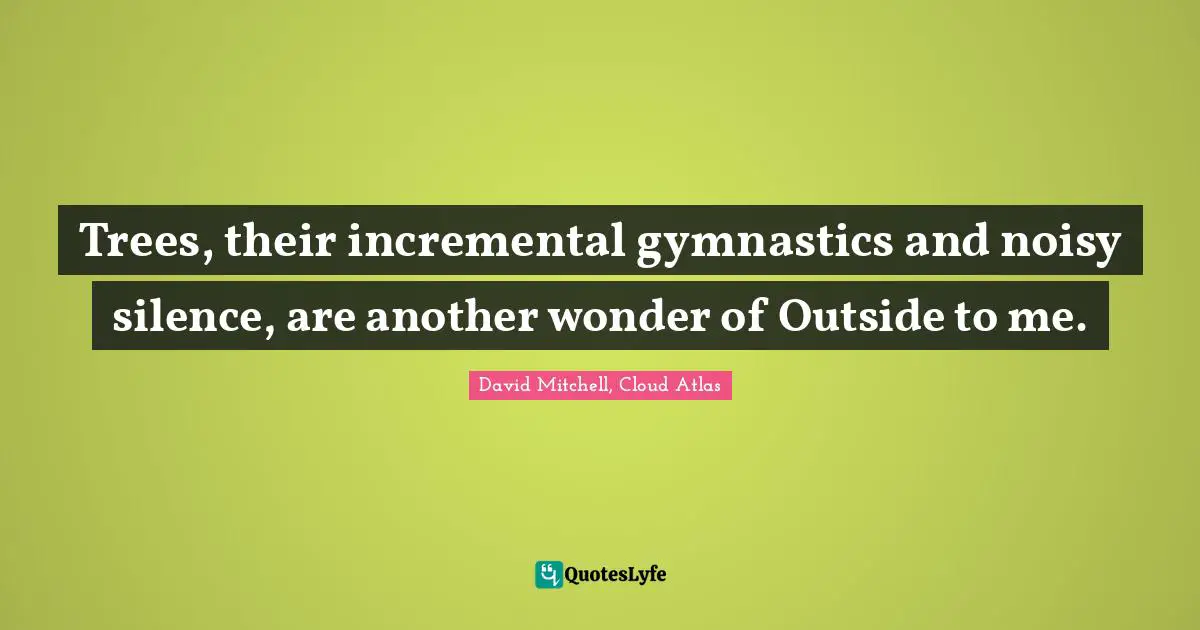 Trees, their incremental gymnastics and noisy silence, are another wonder of Outside to me.