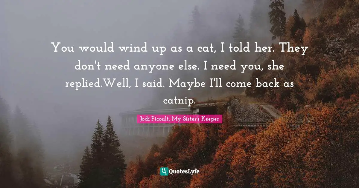 Jodi Picoult, My Sister's Keeper Quotes: "You would wind up as a cat, I told her. They don't need anyone else. I need you, she replied.Well, I said. Maybe I'll come back as catnip."