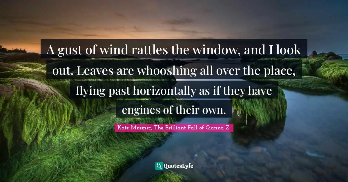 A gust of wind rattles the window, and I look out. Leaves are whooshing all over the place, flying past horizontally as if they have engines of their own.