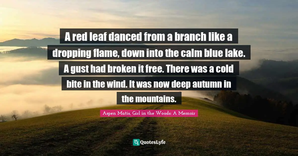Aspen Matis, Girl in the Woods: A Memoir Quotes: A red leaf danced from a branch like a dropping flame, down into the calm blue lake. A gust had broken it free. There was a cold bite in the wind. It was now deep autumn in the mountains.