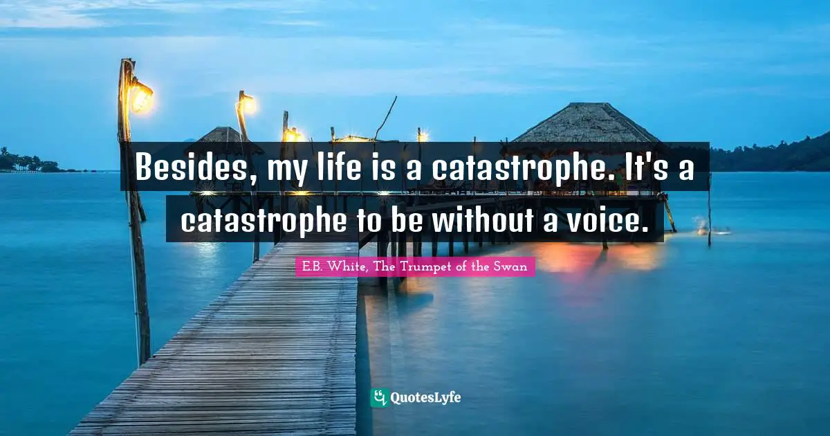 Besides, my life is a catastrophe. It's a catastrophe to be without a voice.