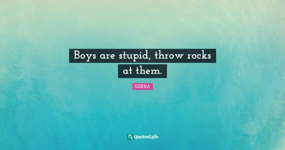 Boys are stupid, throw rocks at them.