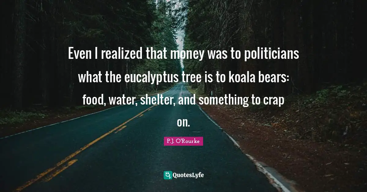 Even I realized that money was to politicians what the eucalyptus tree is to koala bears: food, water, shelter, and something to crap on.