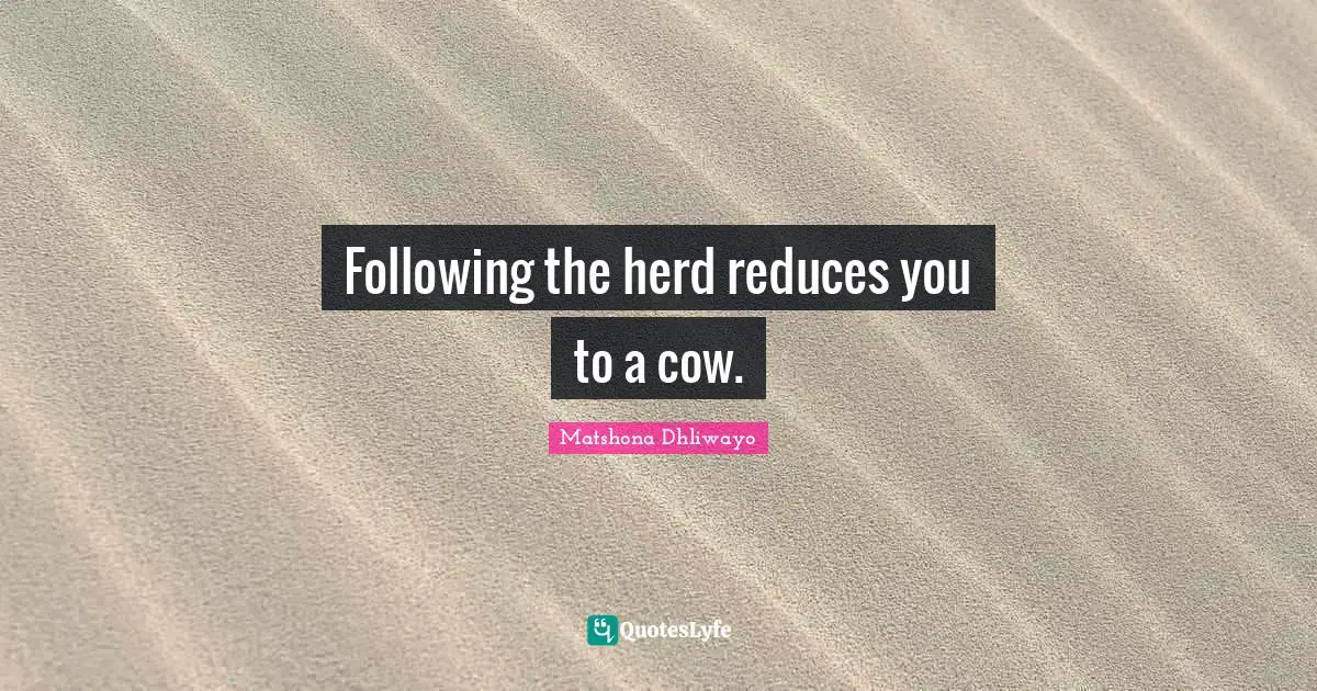 Following the herd reduces you to a cow.