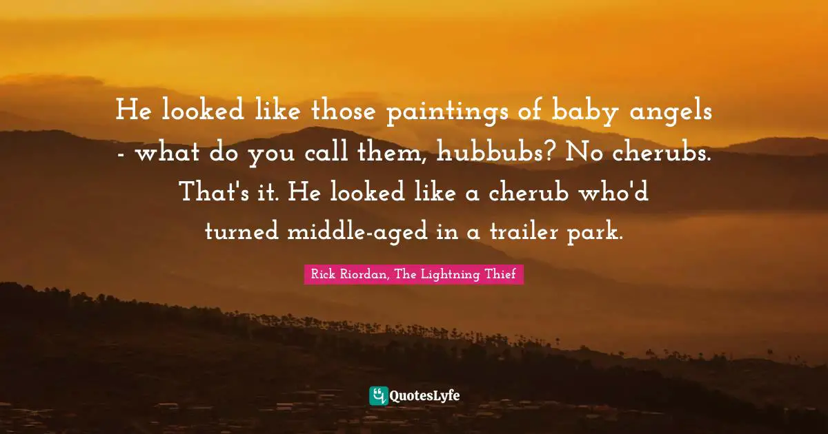 He looked like those paintings of baby angels - what do you call them, hubbubs? No cherubs. That's it. He looked like a cherub who'd turned middle-aged in a trailer park.