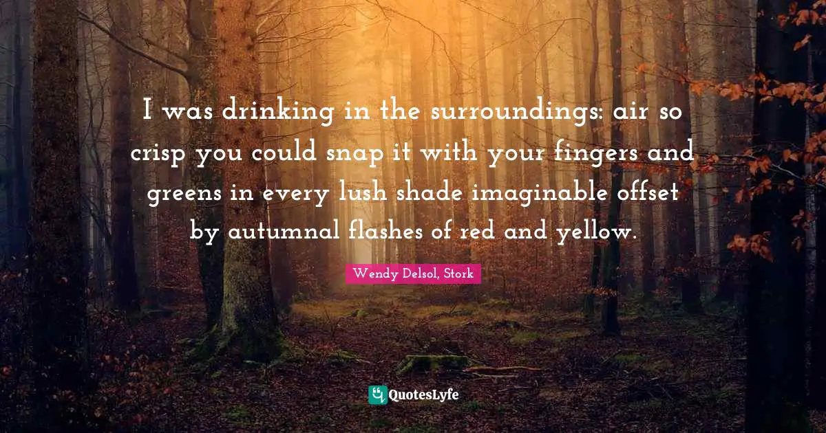 I was drinking in the surroundings: air so crisp you could snap it with your fingers and greens in every lush shade imaginable offset by autumnal flashes of red and yellow.