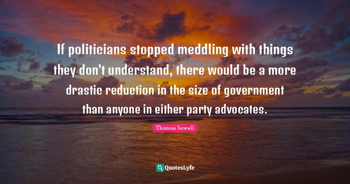 If politicians stopped meddling with things they don't understand, there would be a more drastic reduction in the size of government than anyone in either party advocates.