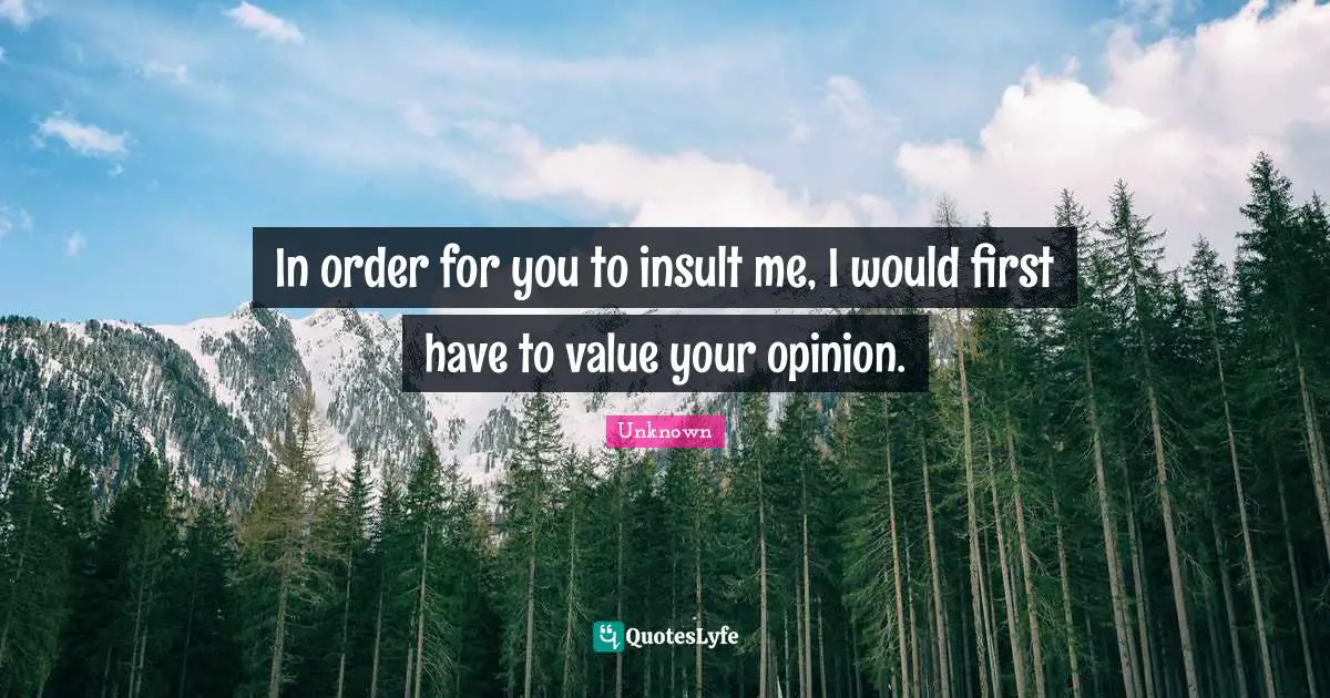 Opinions Of Others Quotes: "In order for you to insult me, I would first have to value your opinion."