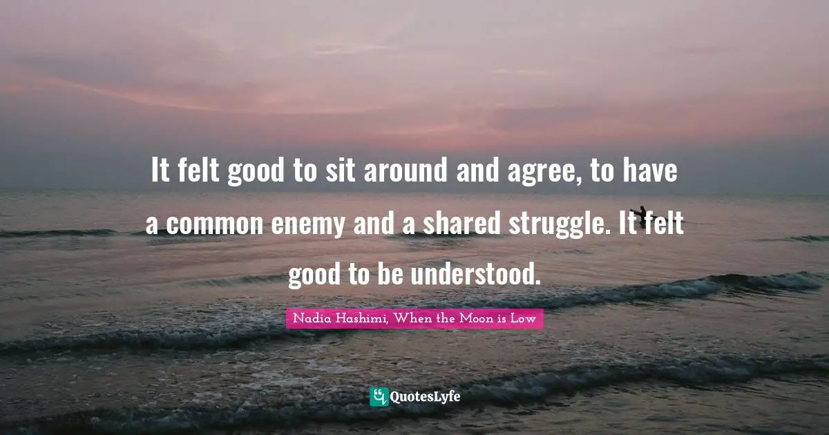 Nadia Hashimi, When The Moon Is Low Quotes: "It felt good to sit around and agree, to have a common enemy and a shared struggle. It felt good to be understood."