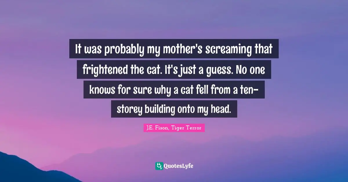 It was probably my mother's screaming that frightened the cat. It's just a guess. No one knows for sure why a cat fell from a ten-storey building onto my head.
