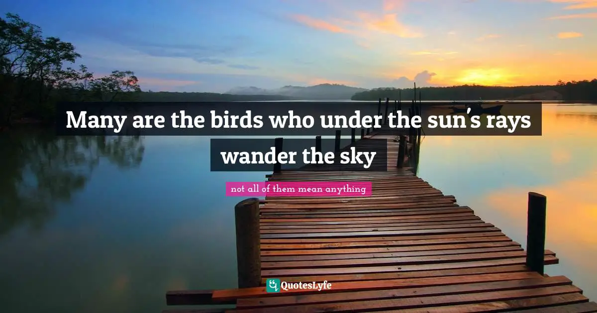 Many are the birds who under the sun's rays wander the sky