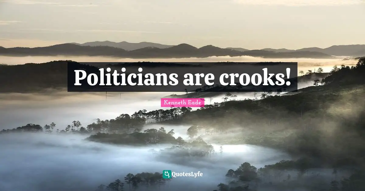 Politicians are crooks!