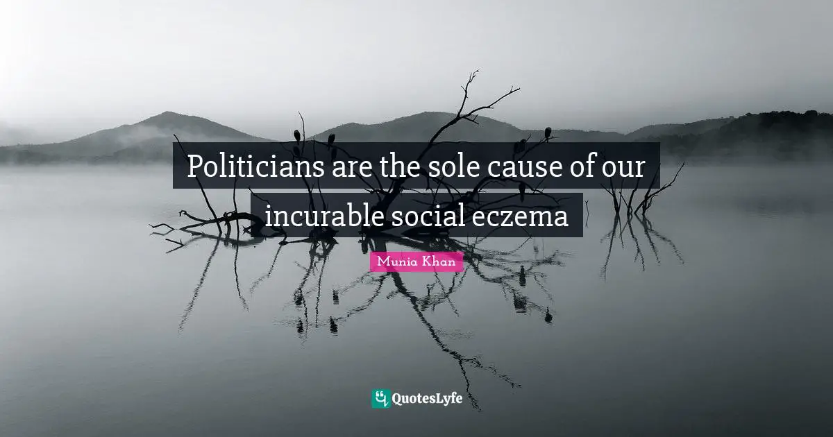 Politicians are the sole cause of our incurable social eczema