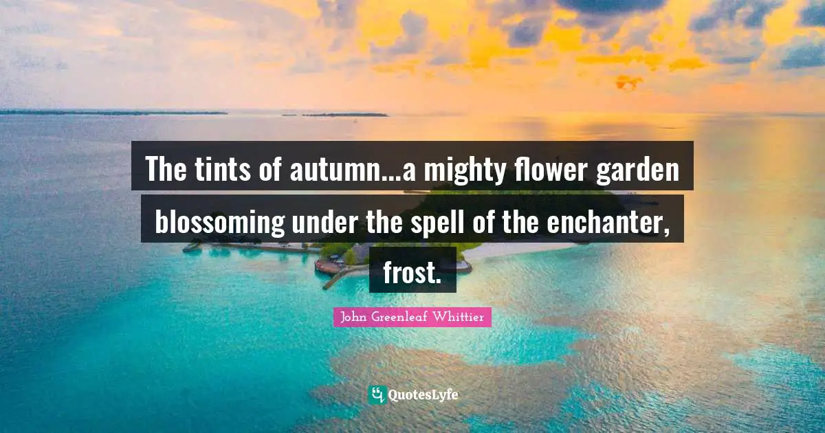 The tints of autumn...a mighty flower garden blossoming under the spell of the enchanter, frost.