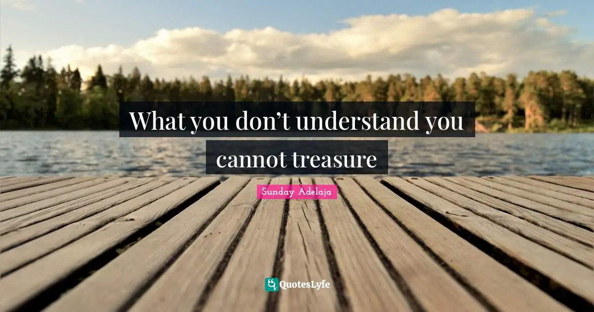 Cannot Quotes: "What you don’t understand you cannot treasure"
