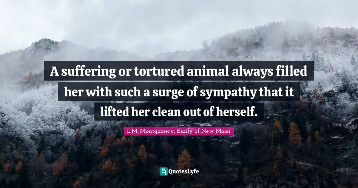 A suffering or tortured animal always filled her with such a surge of sympathy that it lifted her clean out of herself.