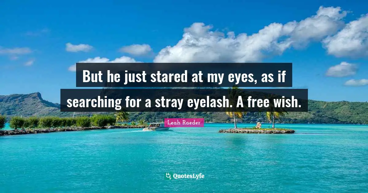 But he just stared at my eyes, as if searching for a stray eyelash. A free wish.