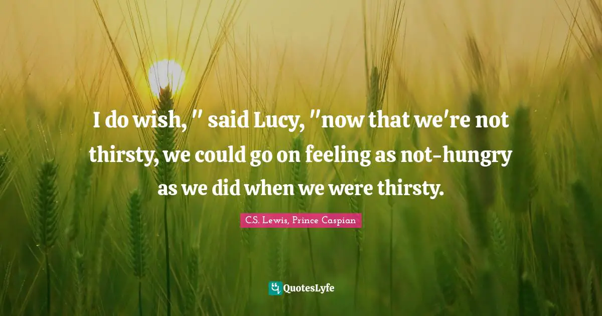 I do wish, " said Lucy, "now that we're not thirsty, we could go on feeling as not-hungry as we did when we were thirsty.