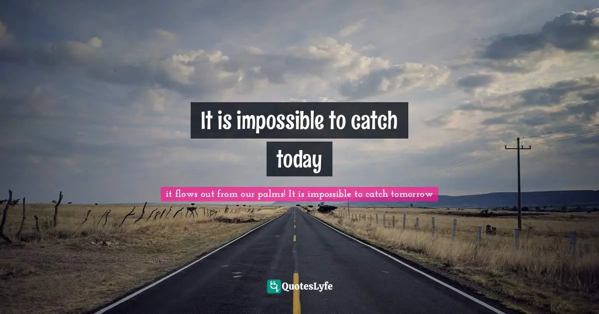 Cannot Quotes: "It is impossible to catch today"