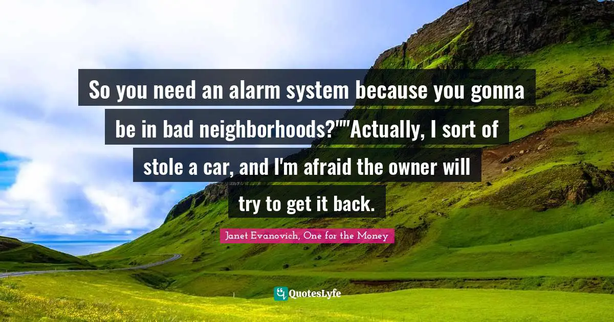 So you need an alarm system because you gonna be in bad neighborhoods?""Actually, I sort of stole a car, and I'm afraid the owner will try to get it back.