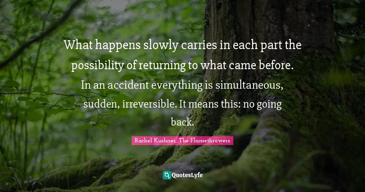 What happens slowly carries in each part the possibility of returning to what came before. In an accident everything is simultaneous, sudden, irreversible. It means this: no going back.