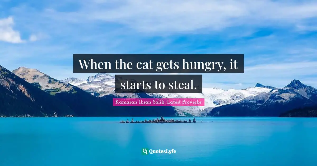 Kamaran Ihsan Salih Quotes: "When the cat gets hungry, it starts to steal."