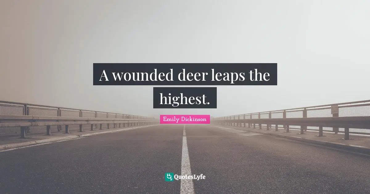 Emily Dickinson Quotes: "A wounded deer leaps the highest."
