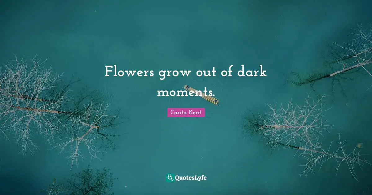Flowers grow out of dark moments.