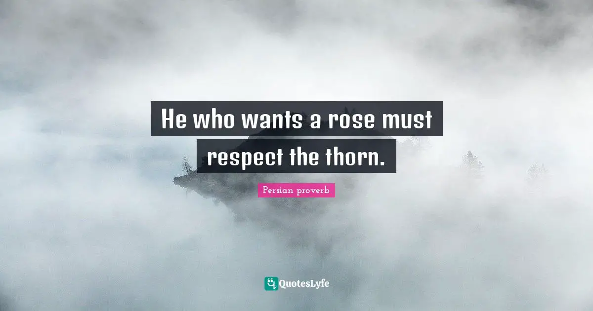 He who wants a rose must respect the thorn.