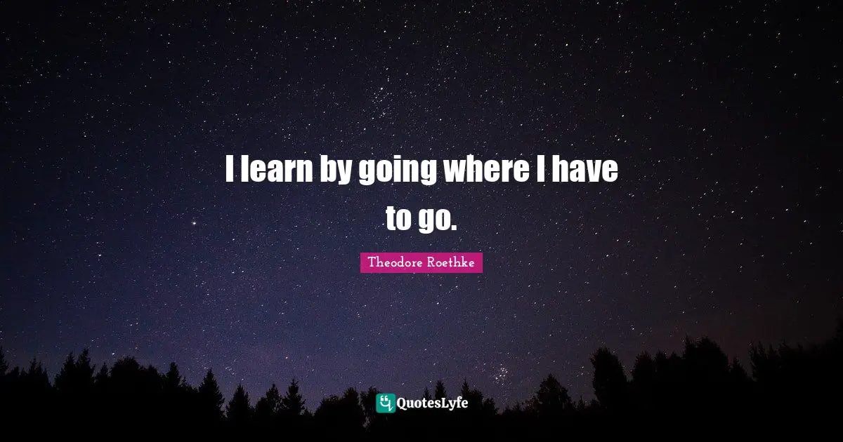 I learn by going where I have to go.