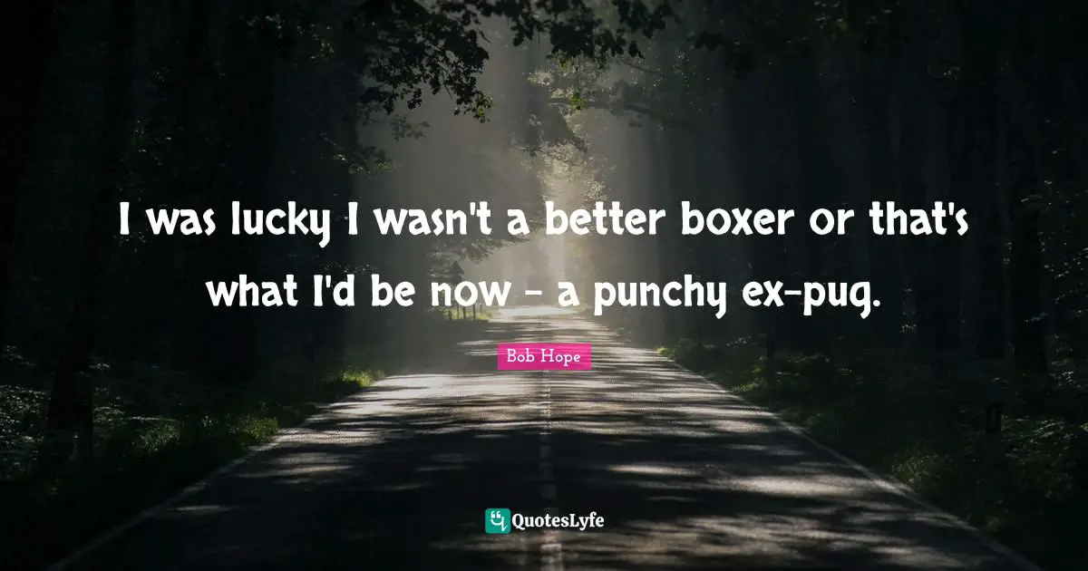 I was lucky I wasn't a better boxer or that's what I'd be now - a punchy ex-pug.