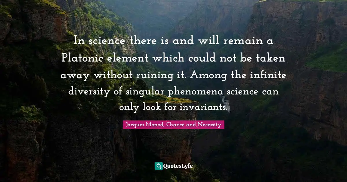 In science there is and will remain a Platonic element which could not be taken away without ruining it. Among the infinite diversity of singular phenomena science can only look for invariants.