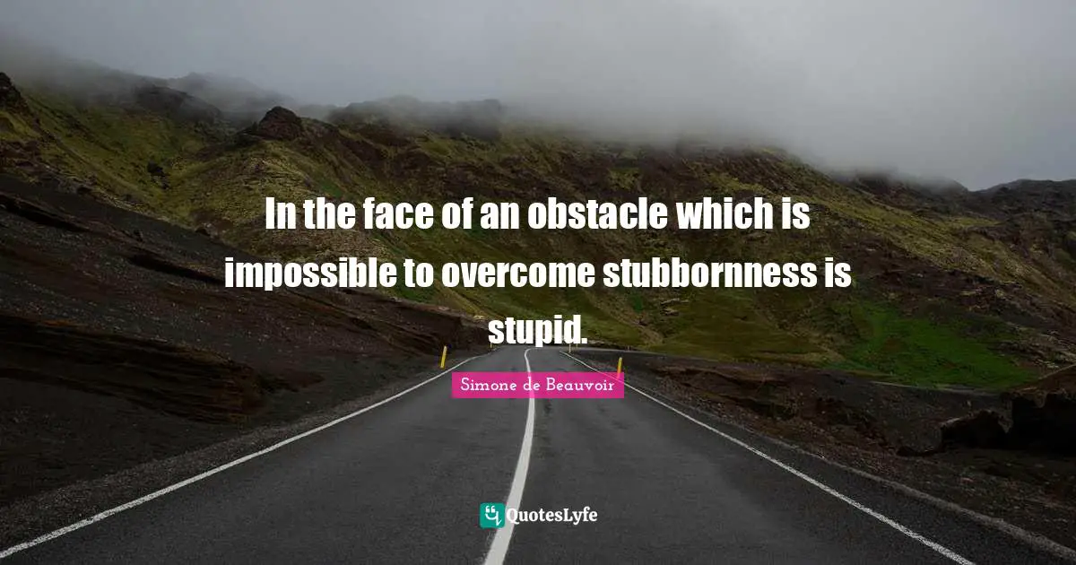 In the face of an obstacle which is impossible to overcome stubbornness is stupid.