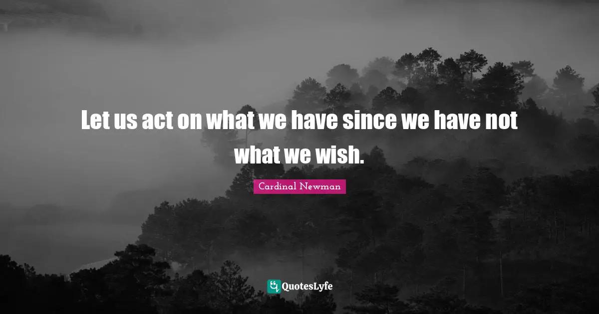 Let us act on what we have since we have not what we wish.