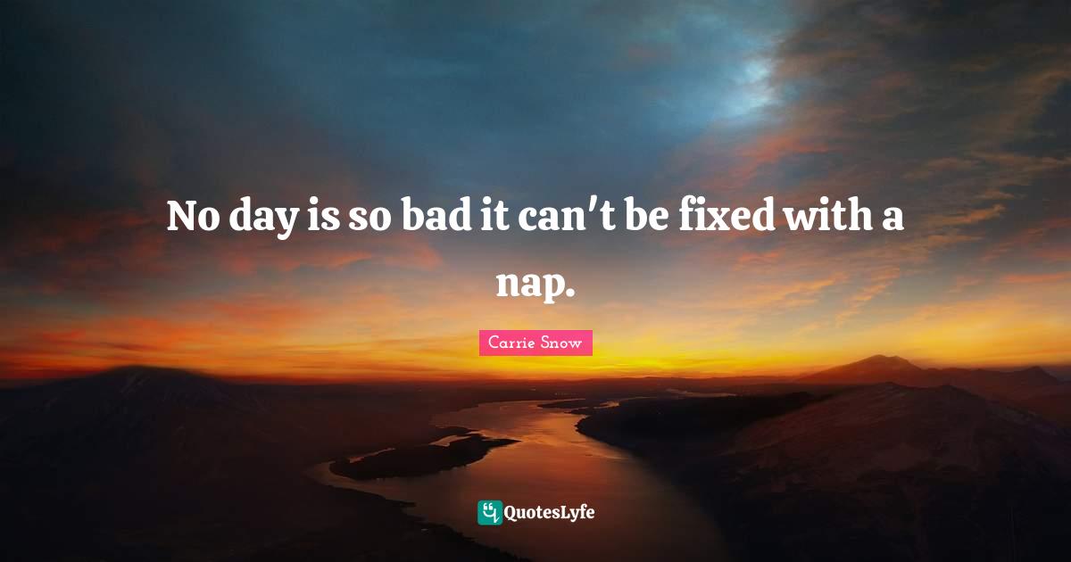 No day is so bad it can't be fixed with a nap.