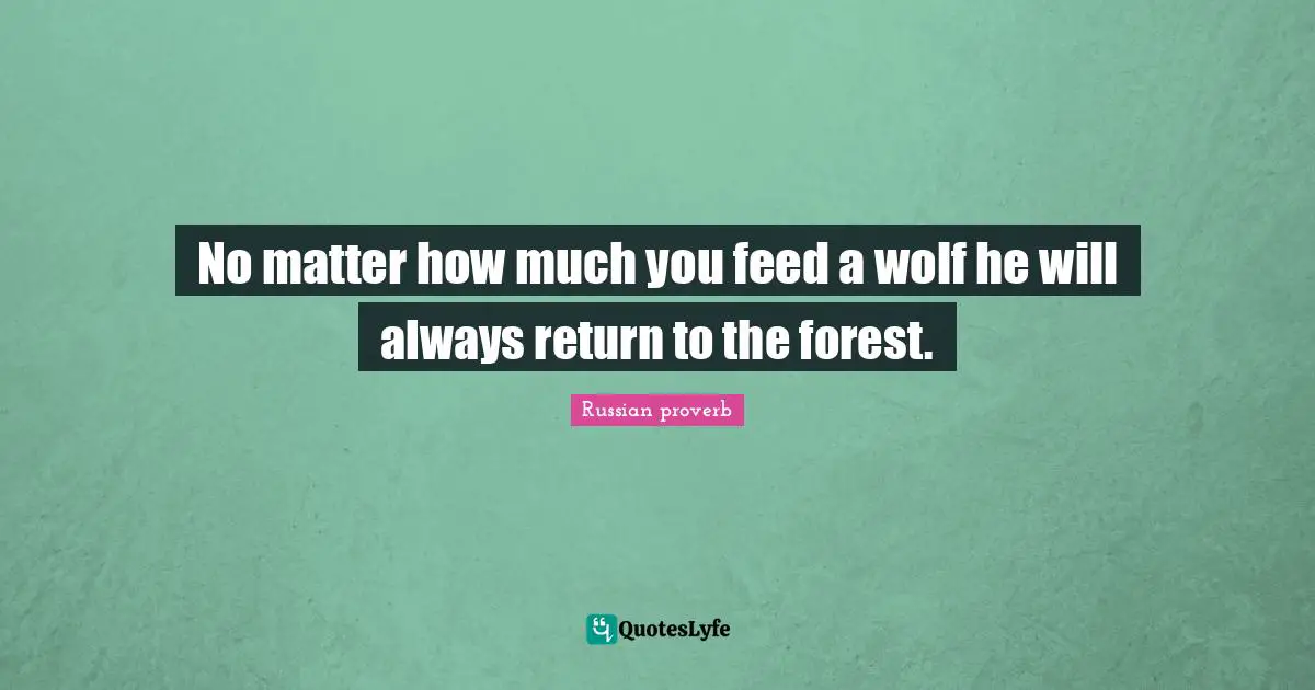 No matter how much you feed a wolf he will always return to the forest.