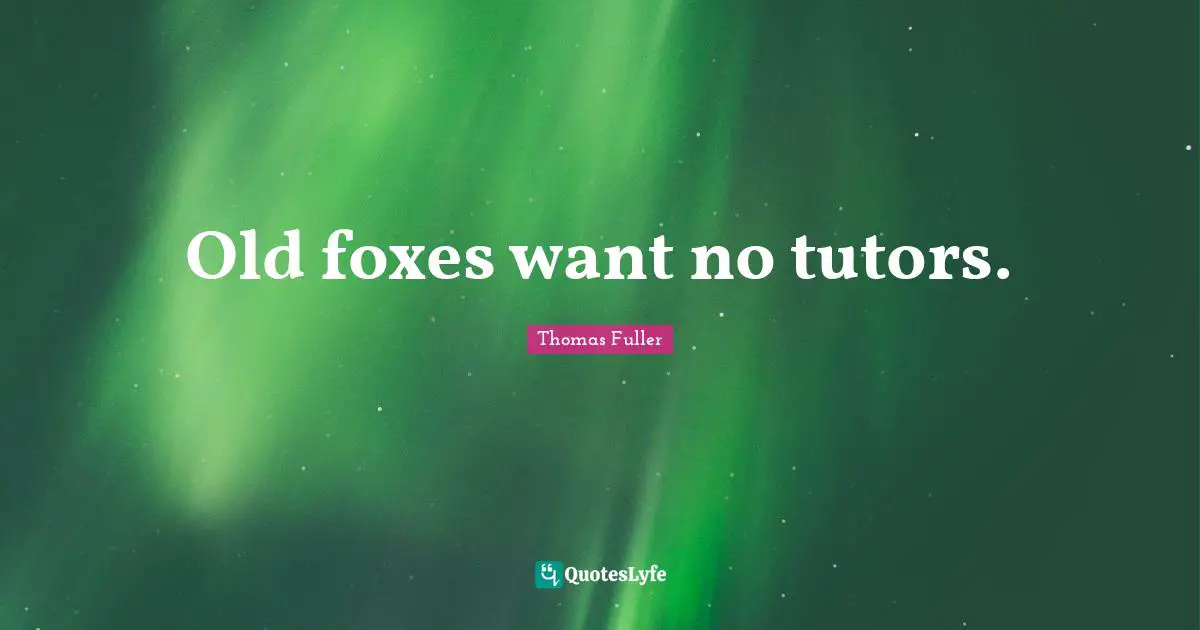 Old foxes want no tutors.