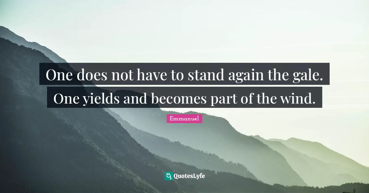 One does not have to stand again the gale. One yields and becomes part of the wind.