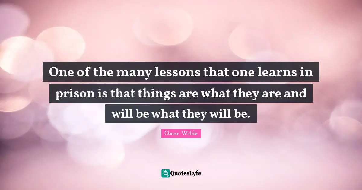 One of the many lessons that one learns in prison is that things are what they are and will be what they will be.