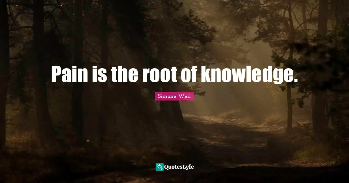 Pain is the root of knowledge.