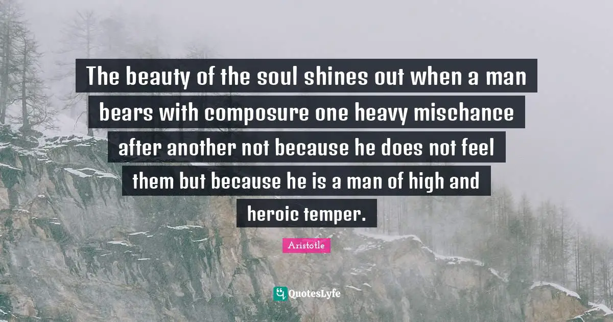 The beauty of the soul shines out when a man bears with composure one heavy mischance after another not because he does not feel them but because he is a man of high and heroic temper.