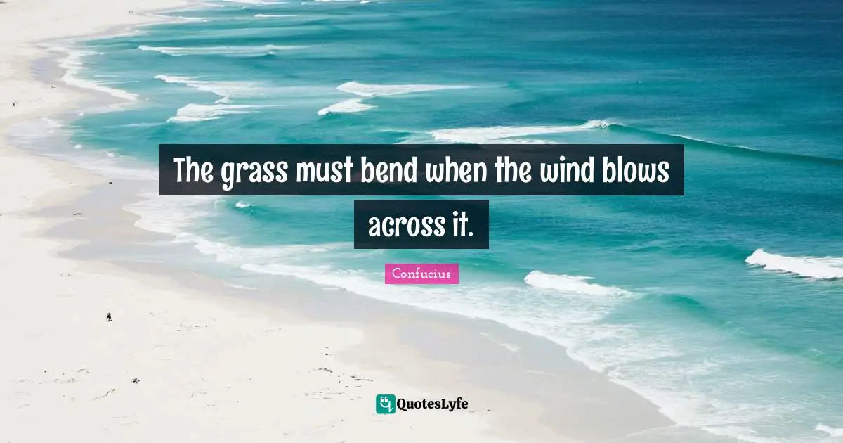 The grass must bend when the wind blows across it.