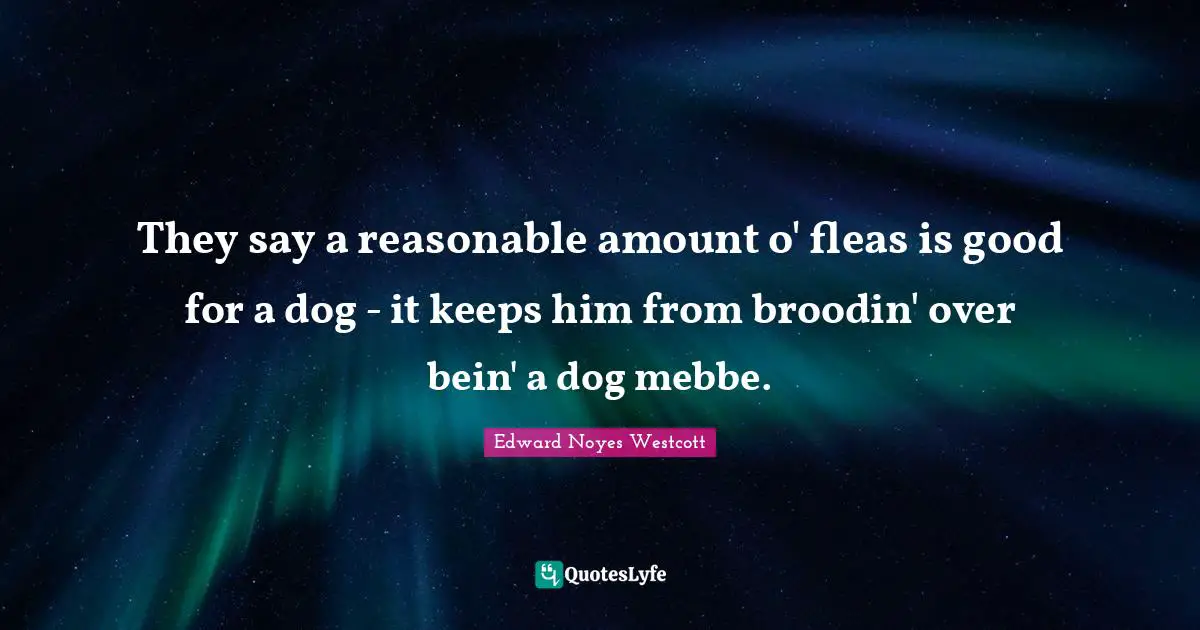 They say a reasonable amount o' fleas is good for a dog - it keeps him from broodin' over bein' a dog mebbe.