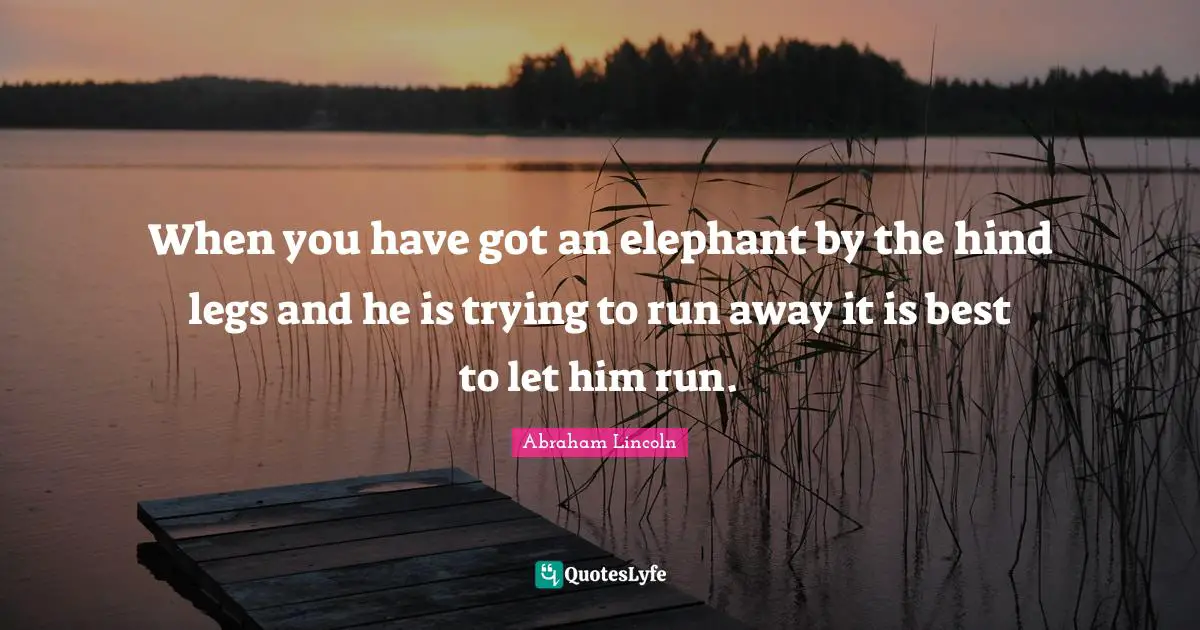 When you have got an elephant by the hind legs and he is trying to run away it is best to let him run.