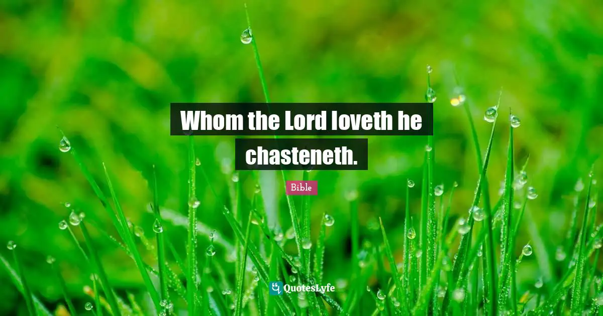 Whom the Lord loveth he chasteneth.