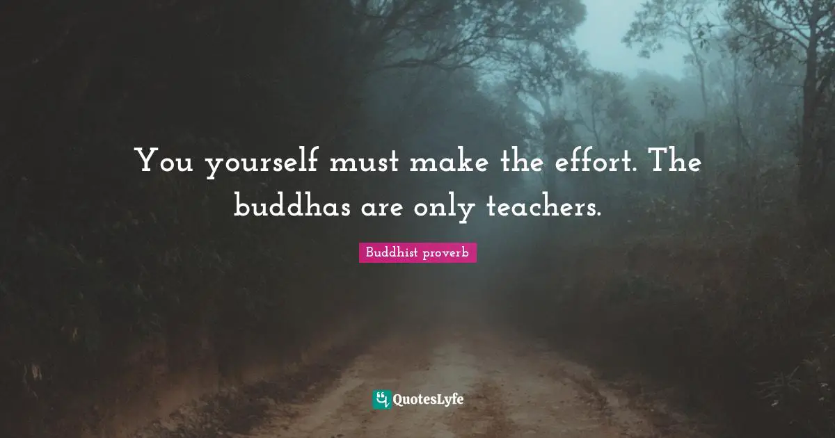 You yourself must make the effort. The buddhas are only teachers.