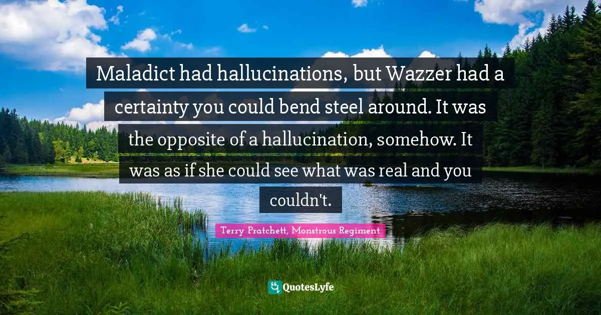 Maladict had hallucinations, but Wazzer had a certainty you could bend steel around. It was the opposite of a hallucination, somehow. It was as if she could see what was real and you couldn't.
