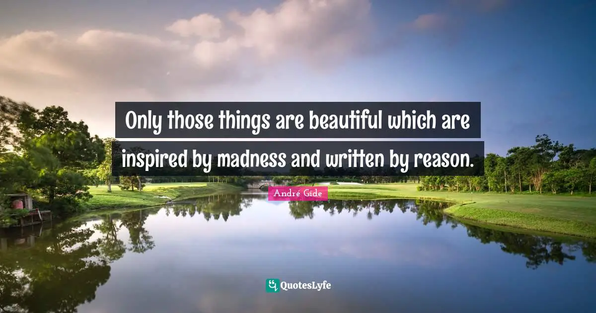 Only those things are beautiful which are inspired by madness and written by reason.