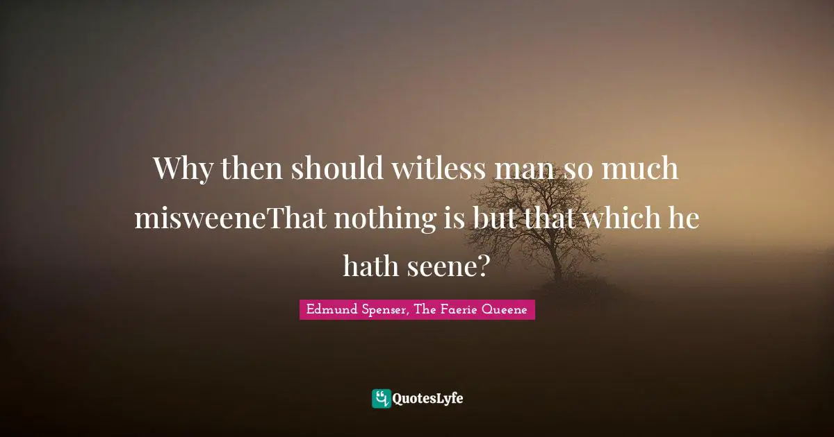 Why then should witless man so much misweeneThat nothing is but that which he hath seene?